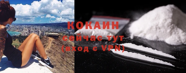 сатива Майский