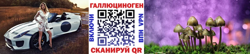 Купить  Салават  Галлюциногенные грибы Psilocybine cubensis 